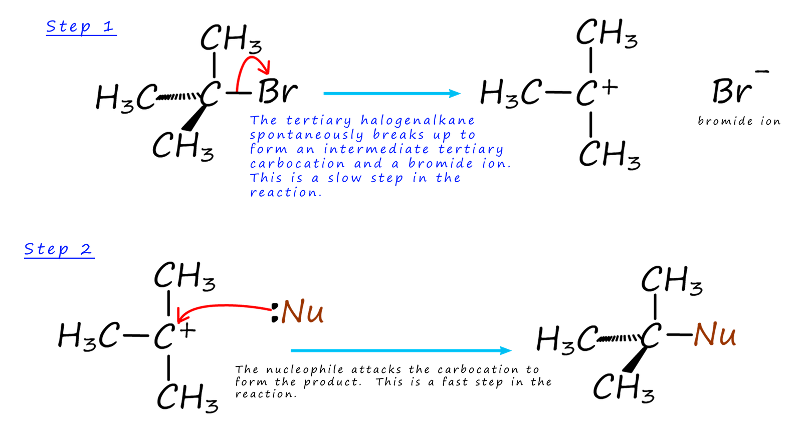 mechanism of a SN1 reaction of tertiary halogen alkane with a nucleophile
